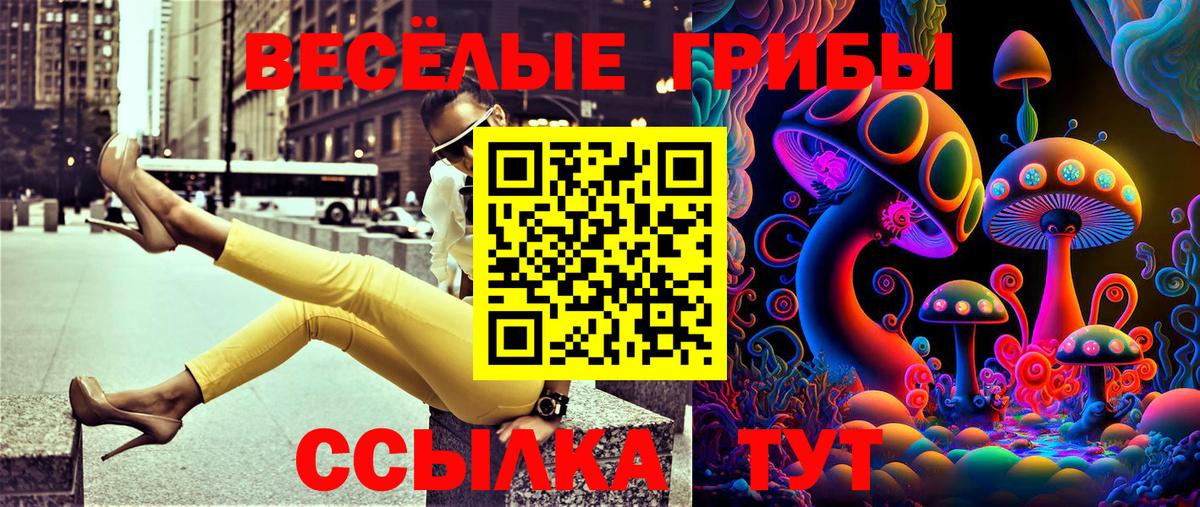 Галлюциногенные грибы Magic Shrooms Корсаков
