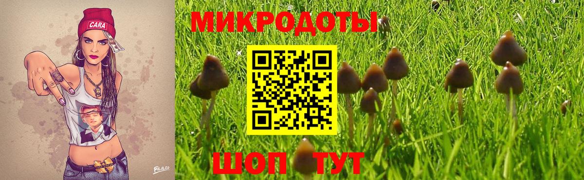 Галлюциногенные грибы GOLDEN TEACHER  Галлюциногенные грибы Magic Shrooms  купить наркотики цена  Корсаков  Вход с VPN 