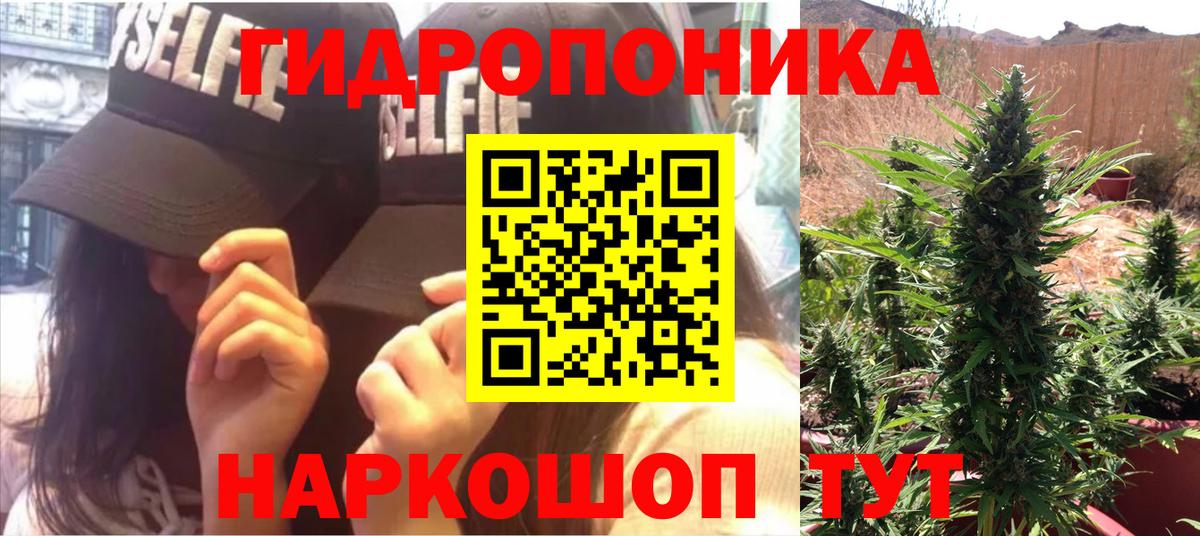 Шишки марихуана Amnesia  Каннабис сатива  Корсаков  МАРИХУАНА план  Вход с VPN 